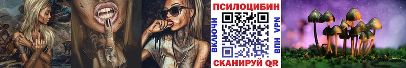 Псилоцибиновые грибы Cubensis  продажа наркотиков  Пугачёв 